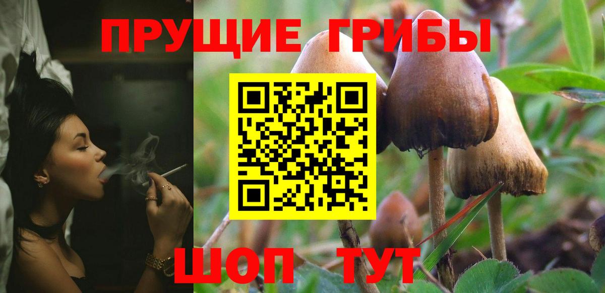 Ипатово  Галлюциногенные грибы мухоморы  Вход с VPN 